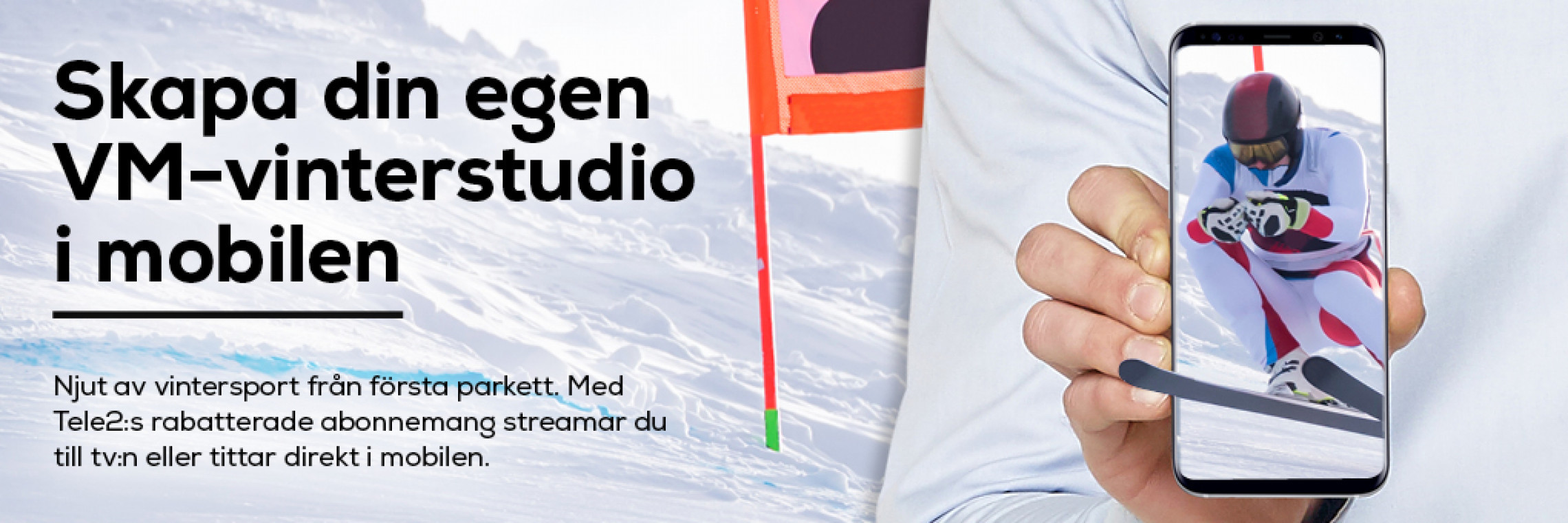 bild bild.jpg