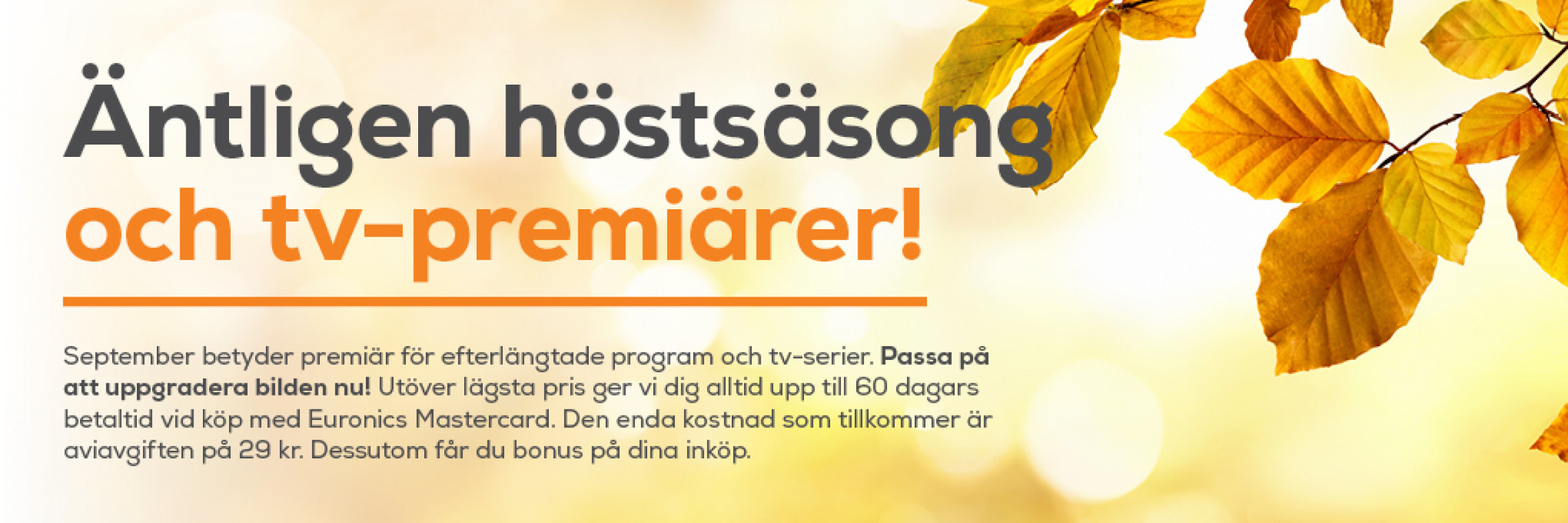 bild bild.jpg