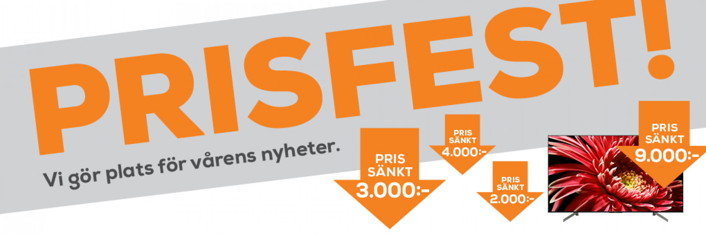 bild bild.jpg